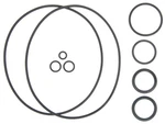 Four Seasons 24008 A6 Compressor O-ring Kit. Fixed Price $13.99.