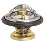 Engine Coolant Thermostat-oe Type Stant 48658. Fixed Price $34.43.